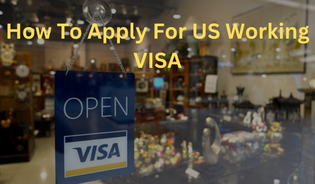 Work Visa For usa